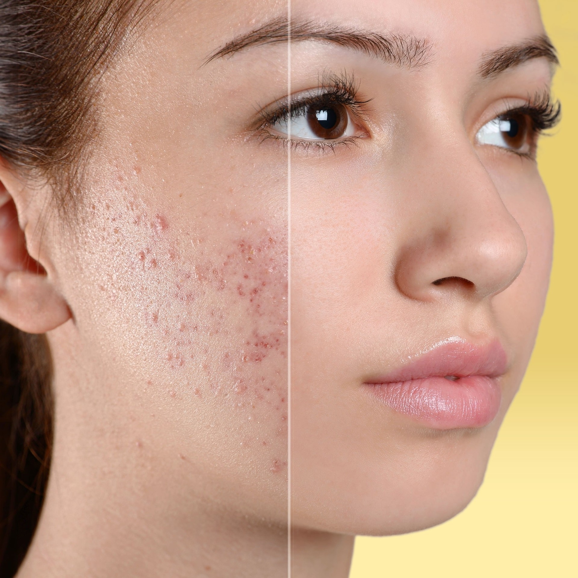 e45d319a-99ca-48a1-ab3a-208f3701935e