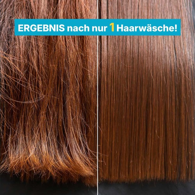 PISKAVICA-Å AMPON-slajd-6