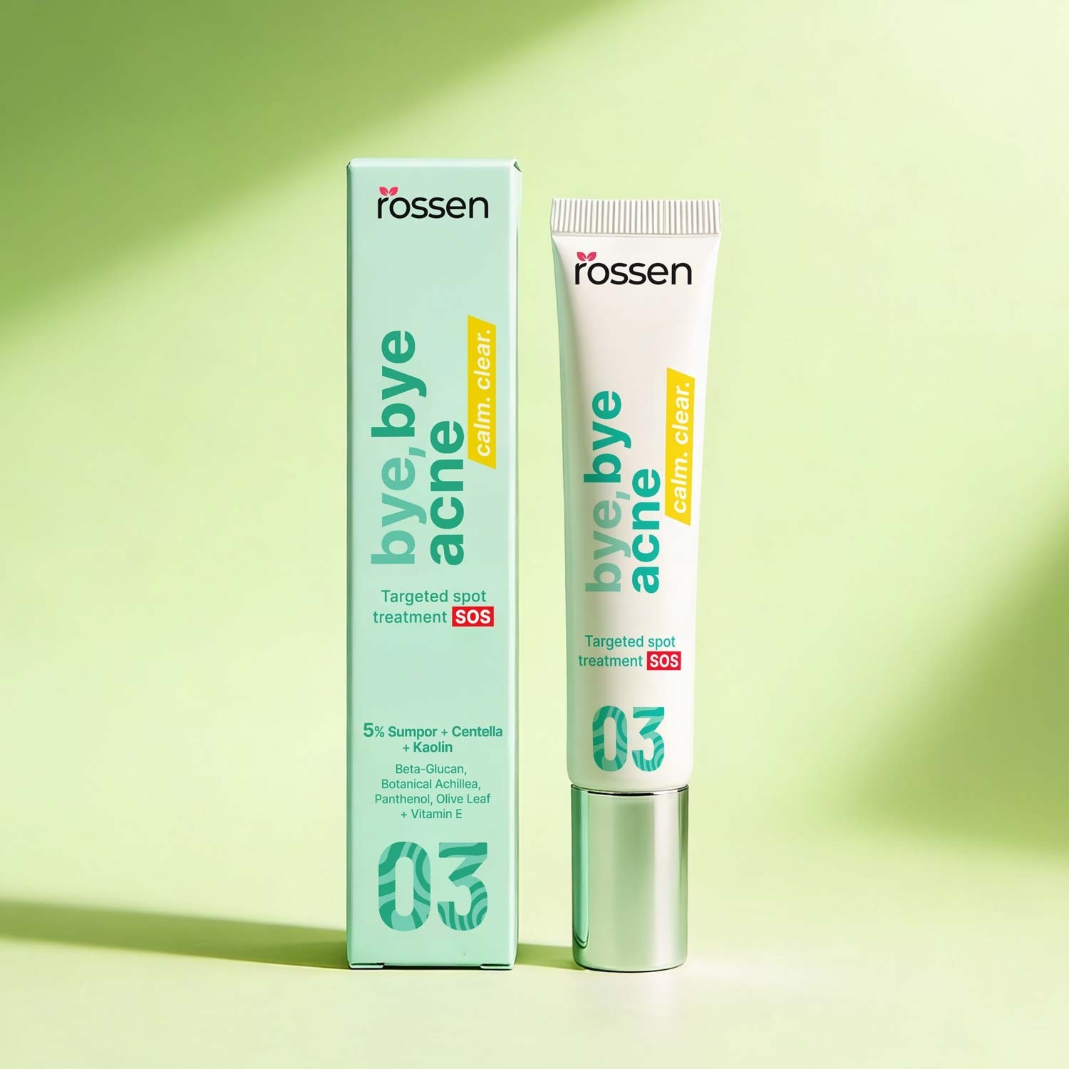 BYE-BYE-ACNE---POÄETNA---FINAL